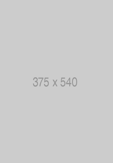 375x540