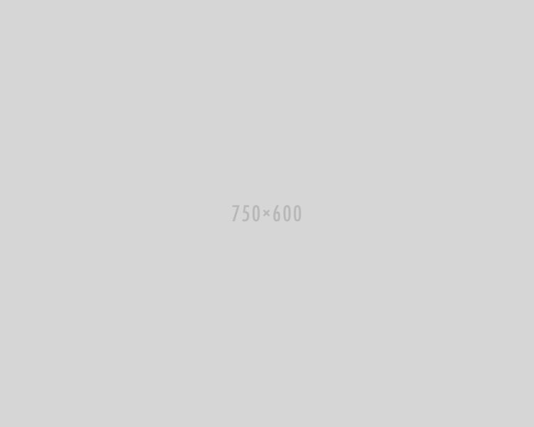 750x600x2