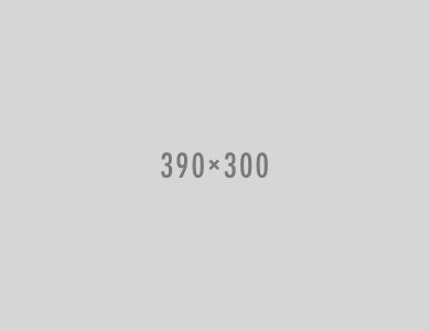 390x300x10