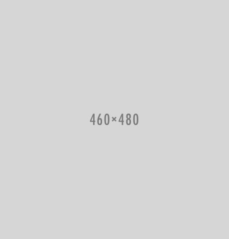 460x480x2