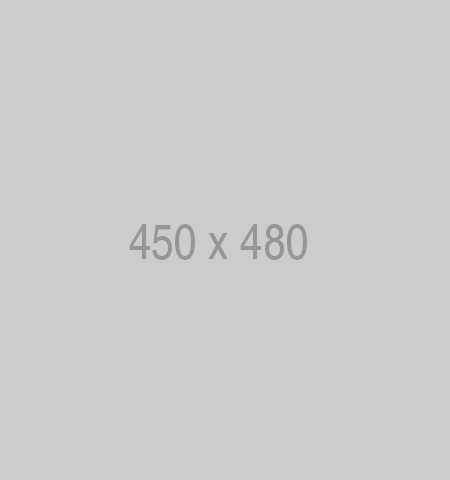 450x480x1