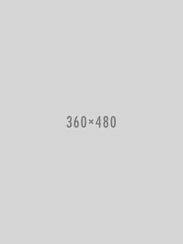 360x480x2